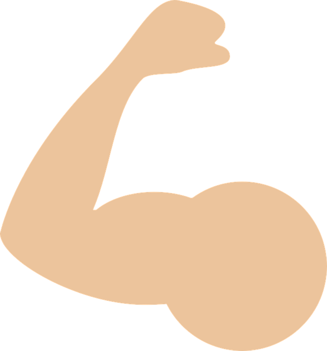 Biceps muscle PNG Transparent Image