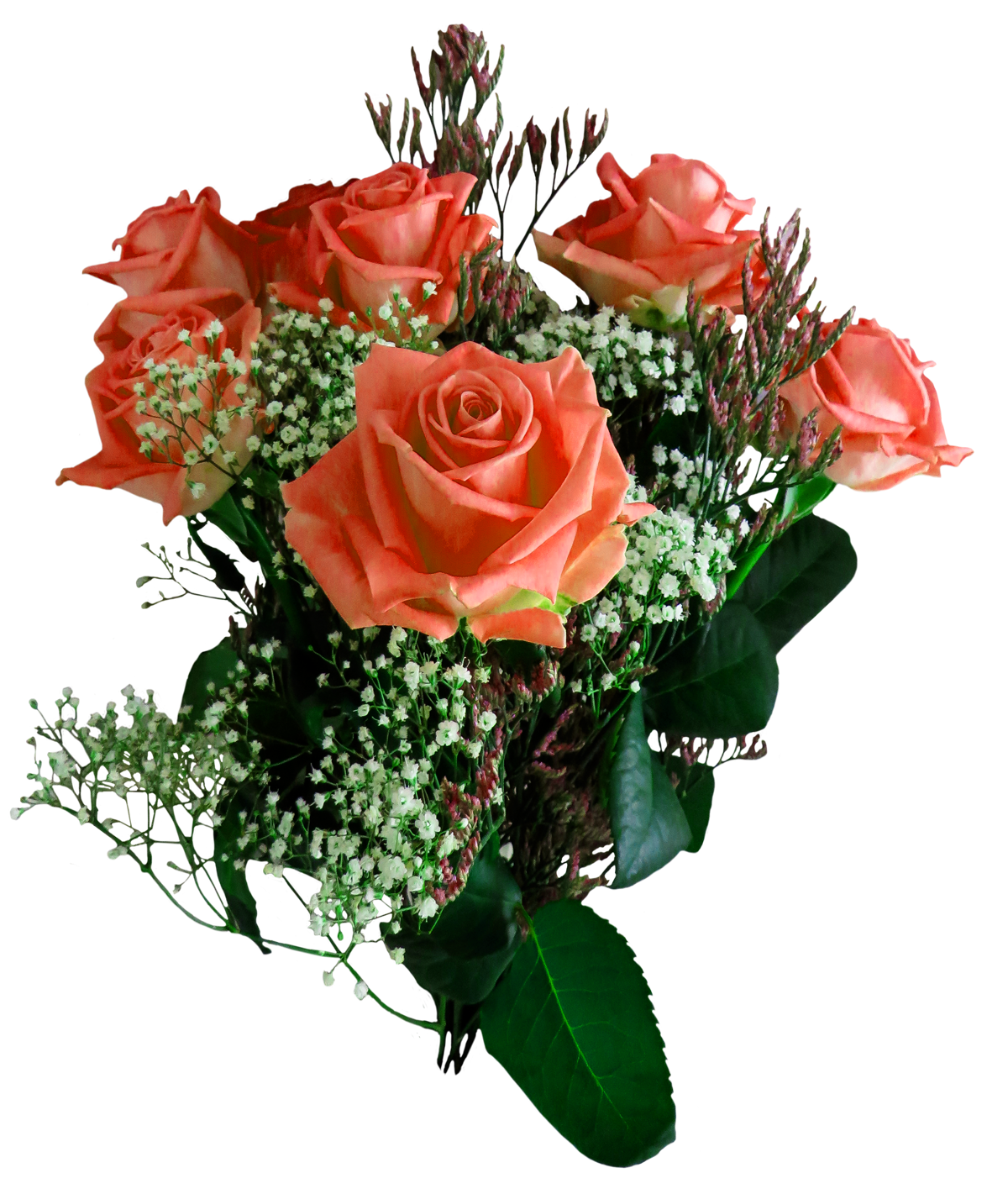 ดอกไม้กุหลาบสีสันสดใส PNG ภาพตัดปะ