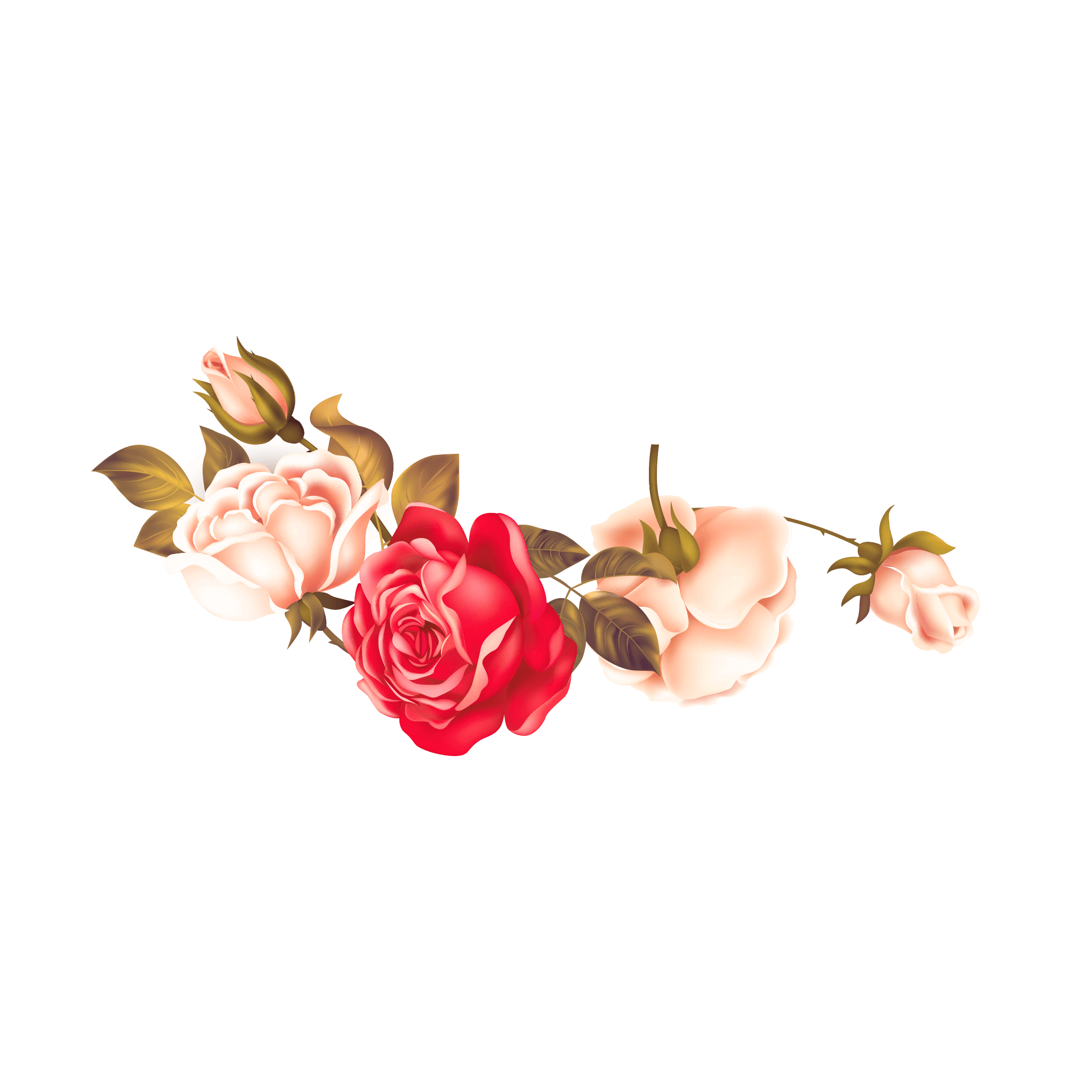 Bunte rosafarbene Blume PNG-Fotos