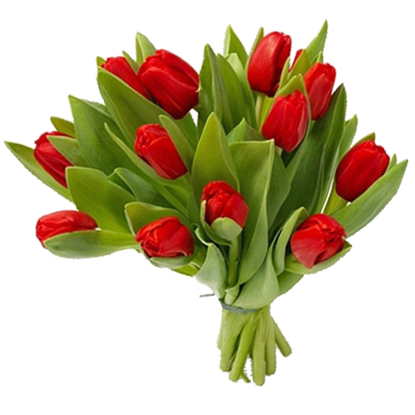الزهور الربيع زهرة PNG Clipart