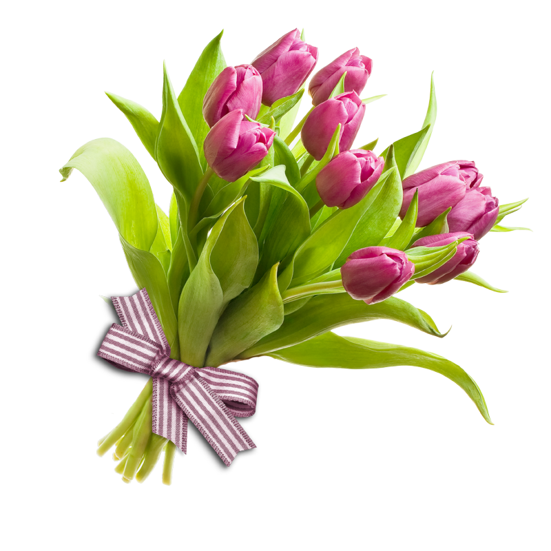Floral Spring Flower PNG Gambar