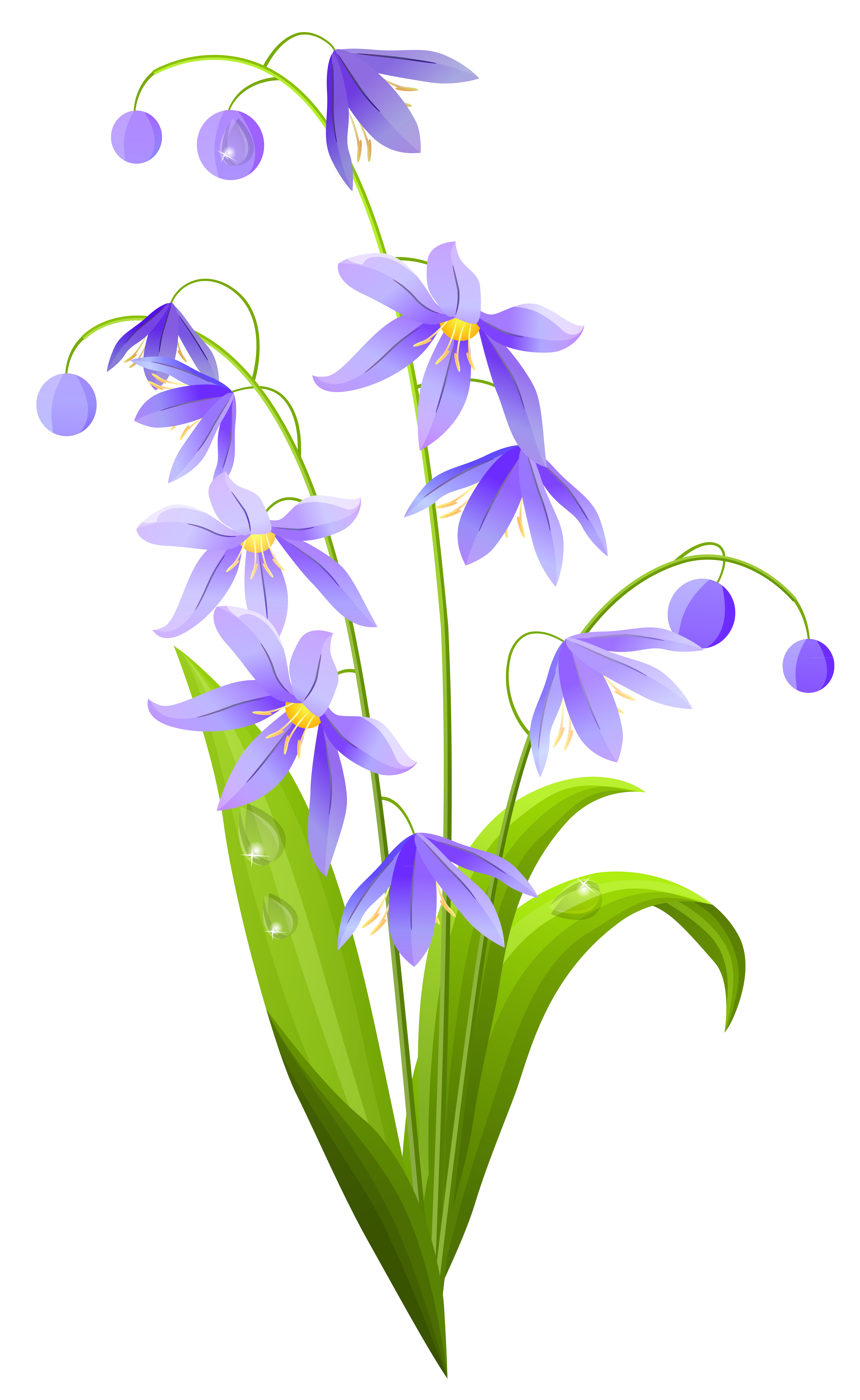 زهرة الربيع الأزهار شفافة PNG