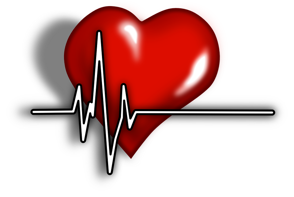 Heart Lifeline PNG Image