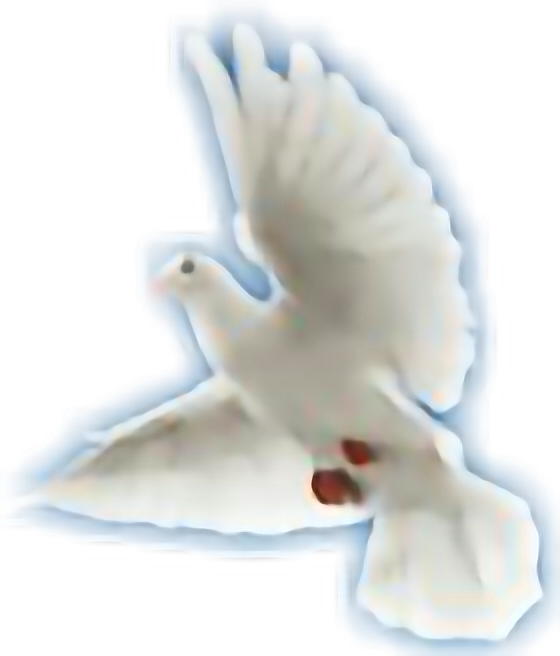 Святой Дух голубь PNG Image