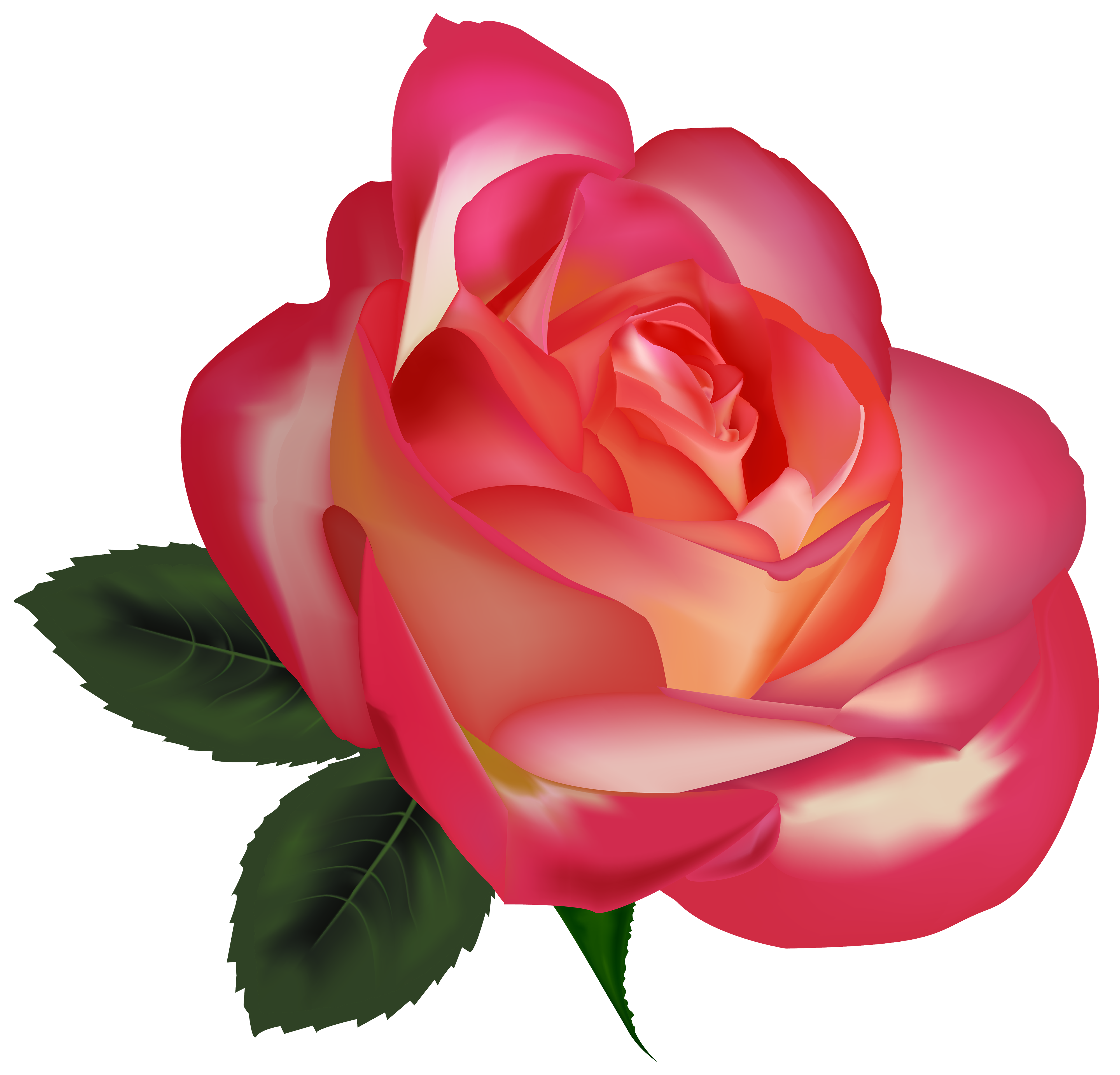 Pink Rose Flower PNG File