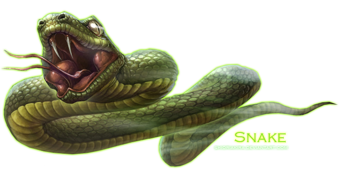 Ядовитая змея PNG Clipart