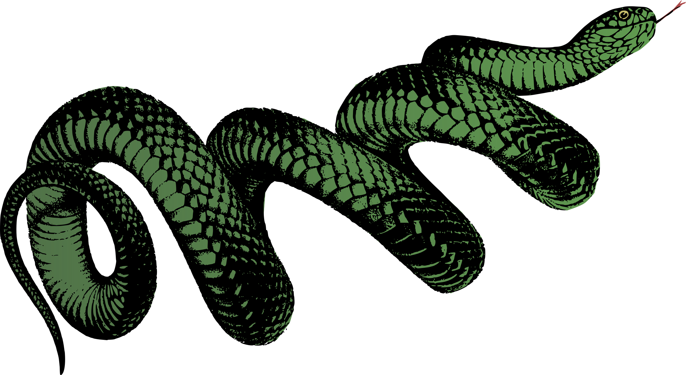 Poisonous Descarga gratuita de Snake PNG