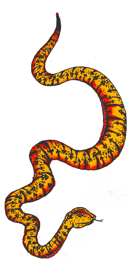 Poisonous Imagen PNG de serpiente