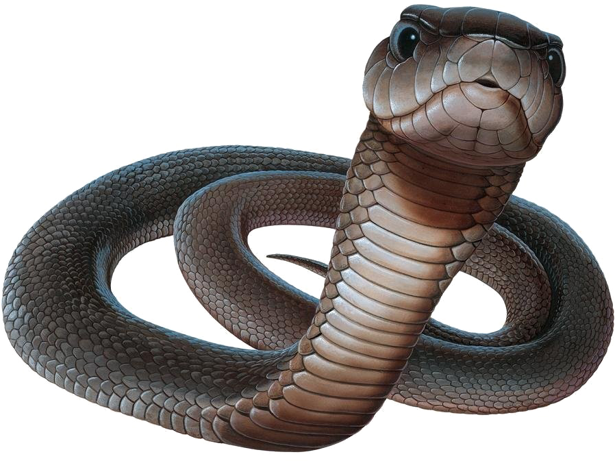 Poisonous Fotos de PNG de serpiente