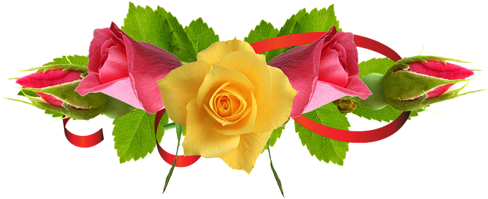 Rose fleur PNG Image