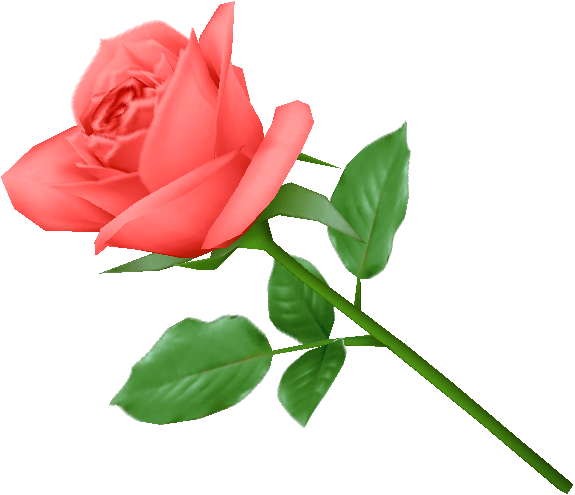 Rose Flower PNG-Fotos
