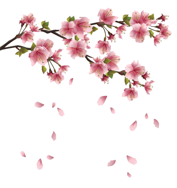 Spring Blossom Flower PNG Clipart