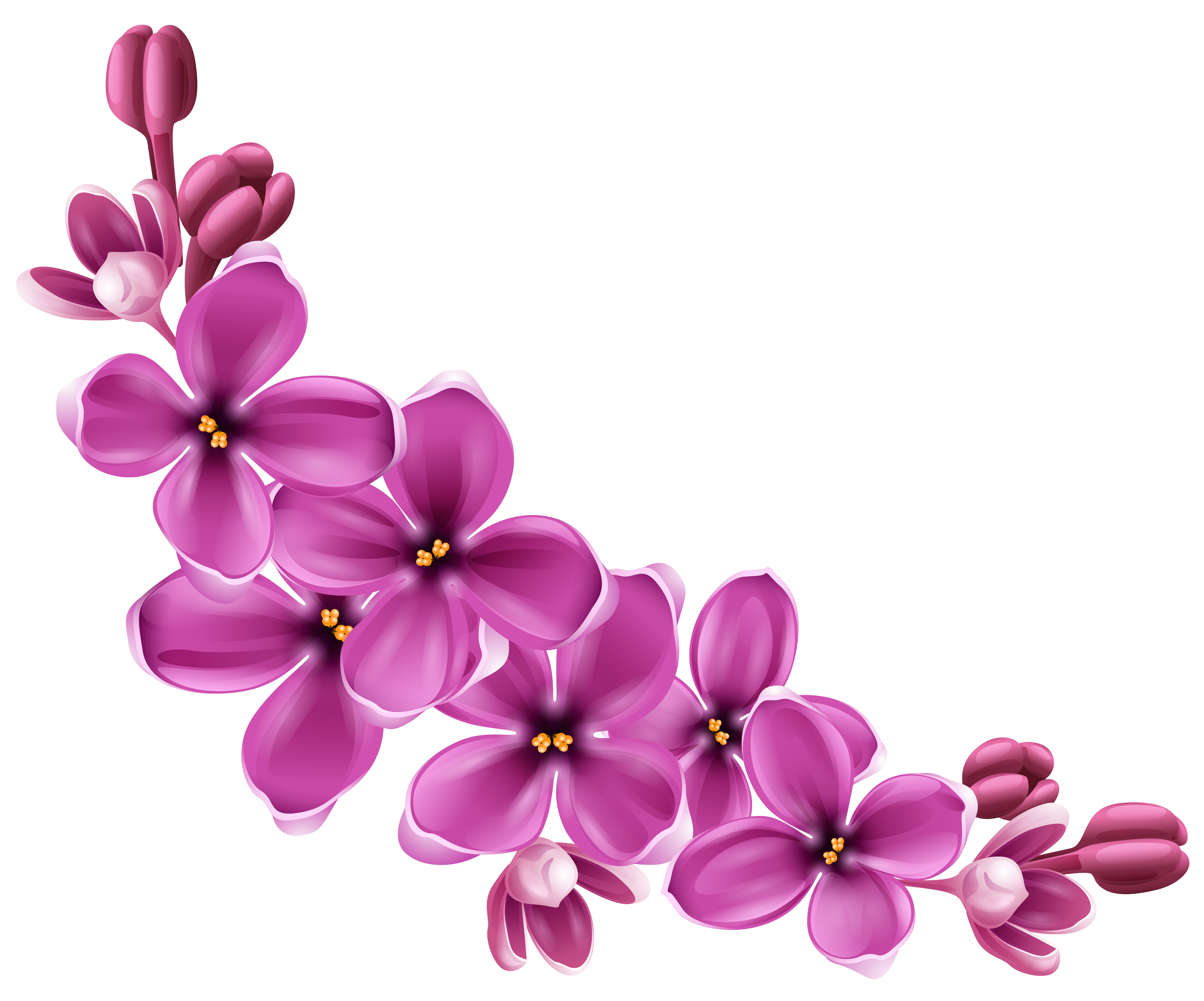 Весеннее цветущее цветок PNG прозрачное изображение