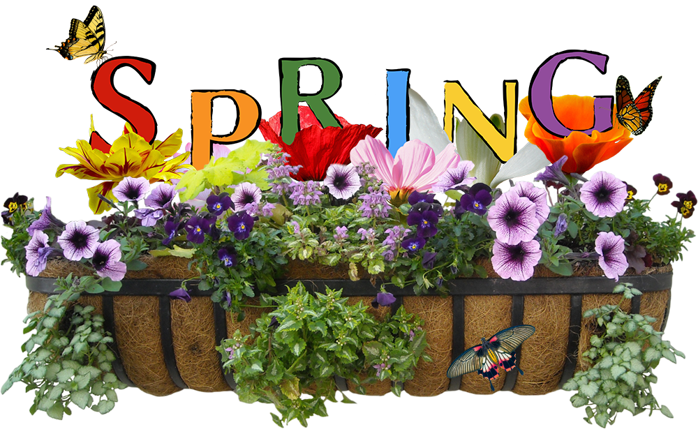 Spring Cleaning Banner PNG Image