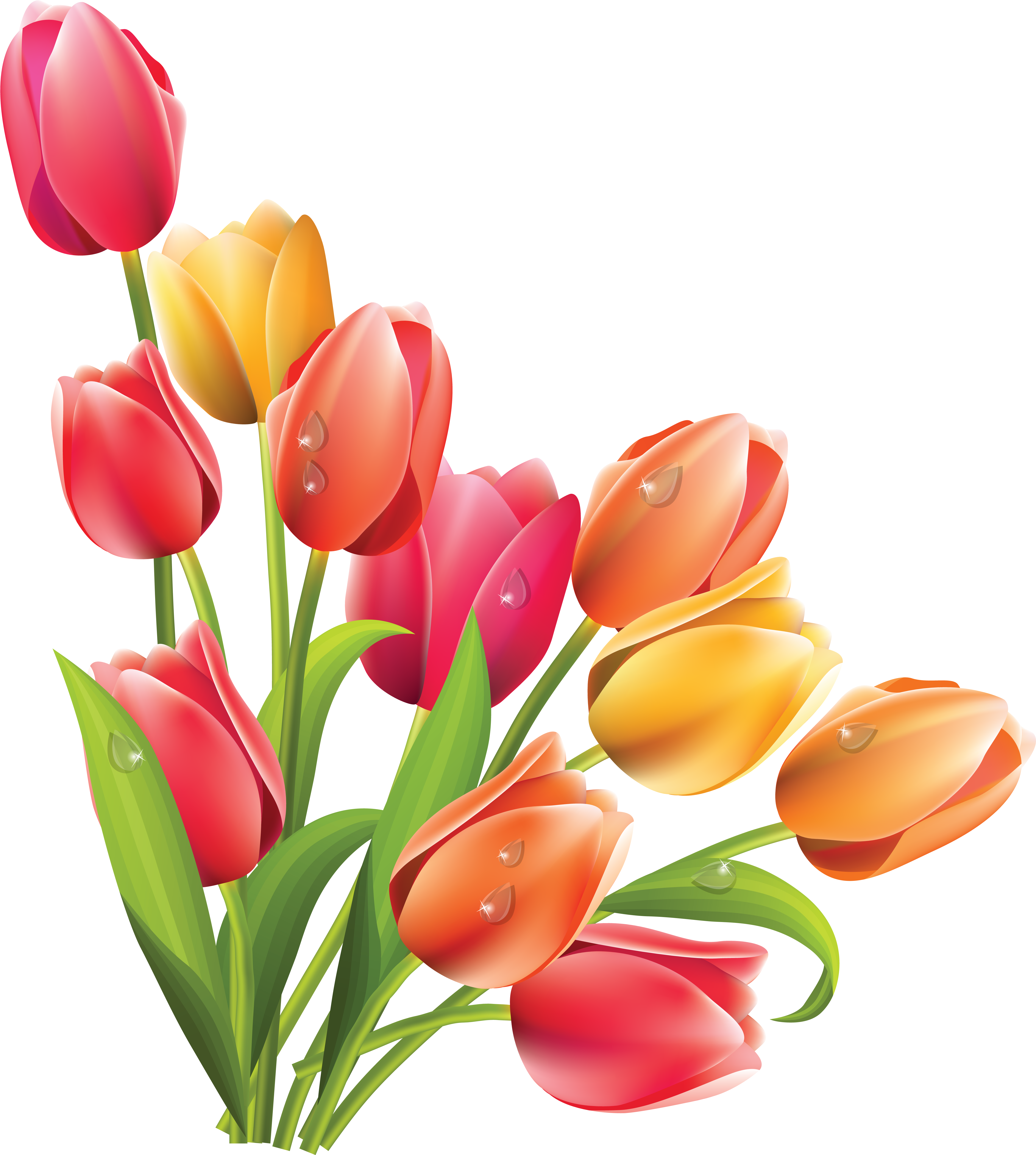 Flor de primavera de verano PNG Clipart