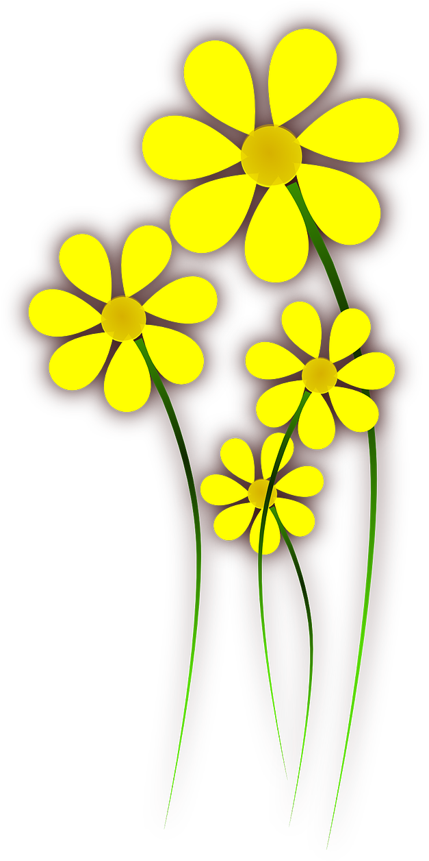 Summer Spring Flower PNG Image