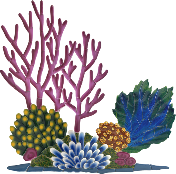 Vector Coral Reef PNG-файл