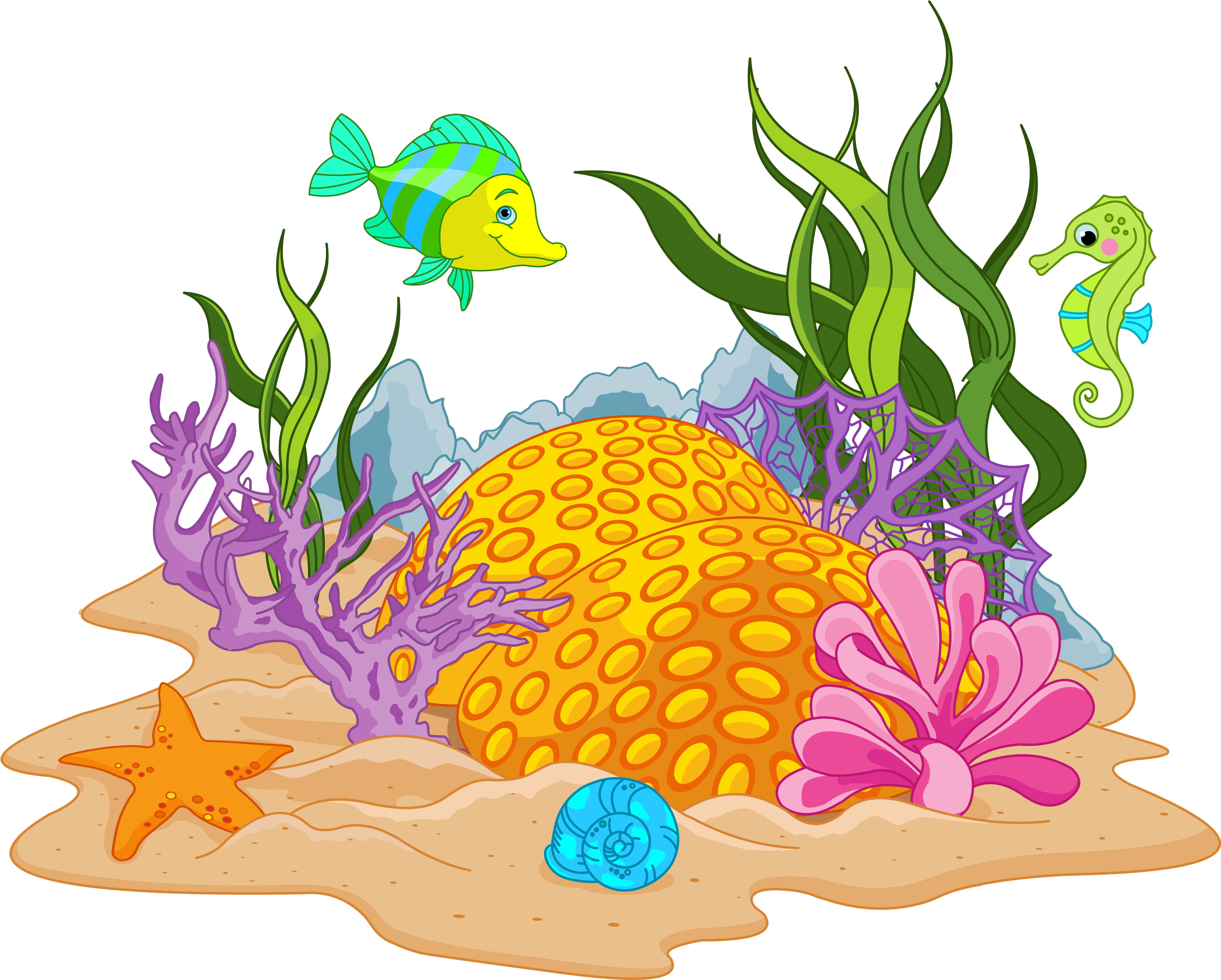 Vector Coral Reef PNG Image