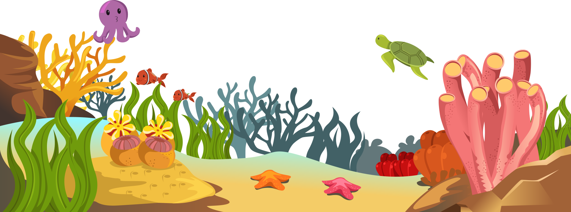 Vector Coral Reef PNG Photos