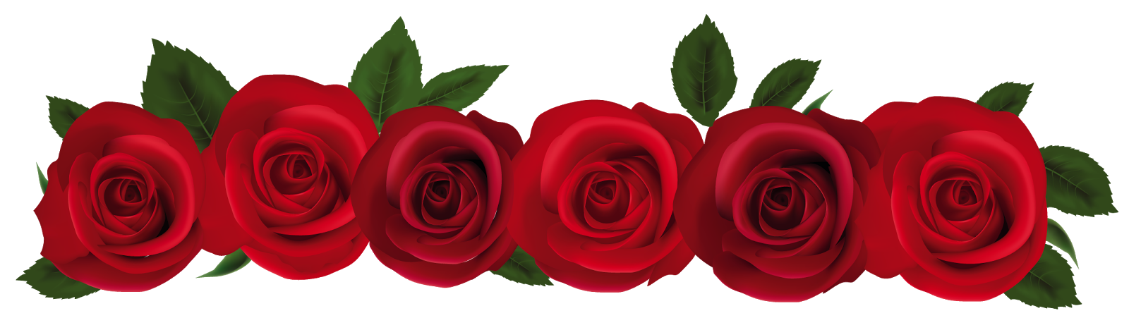Vector Rose Flower PNG Photos