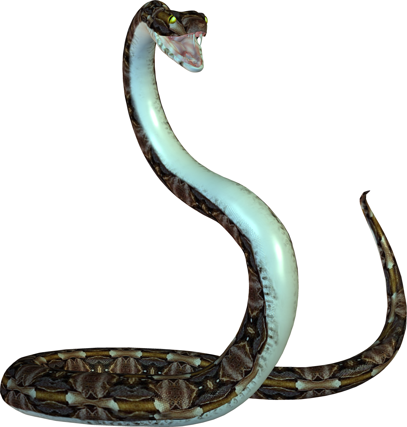 Imagen de vector de serpiente PNG