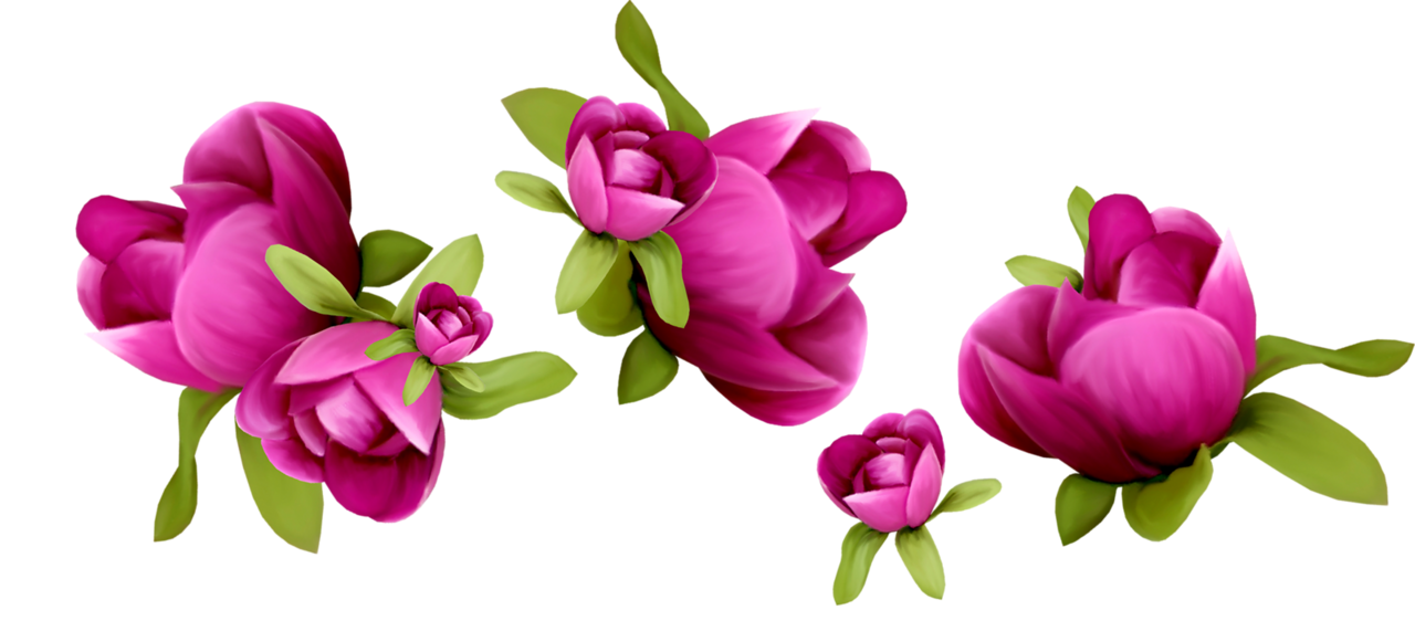 Vector Flor de primavera PNG PIC