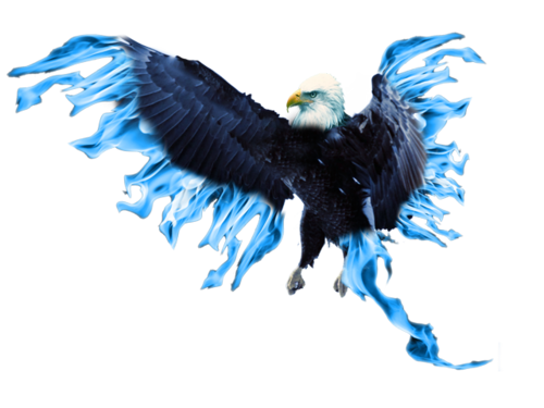 Blue Phoenix transparente PNG