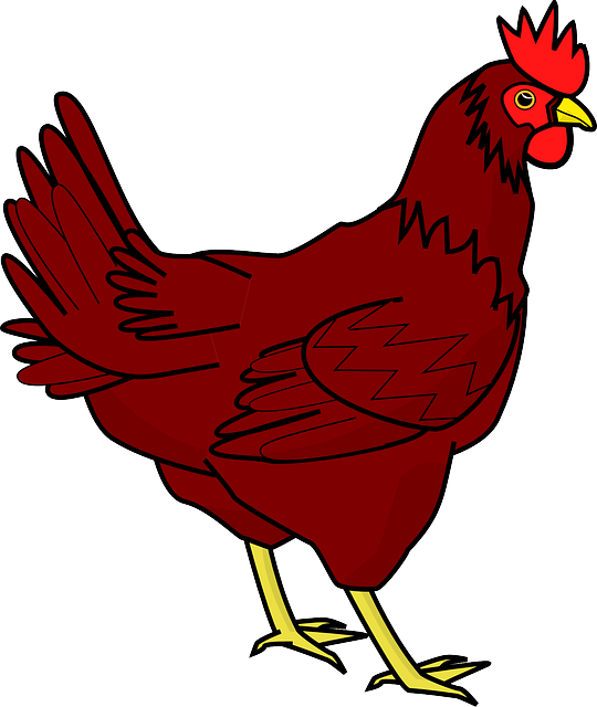 Image Transparente de poulet PNG