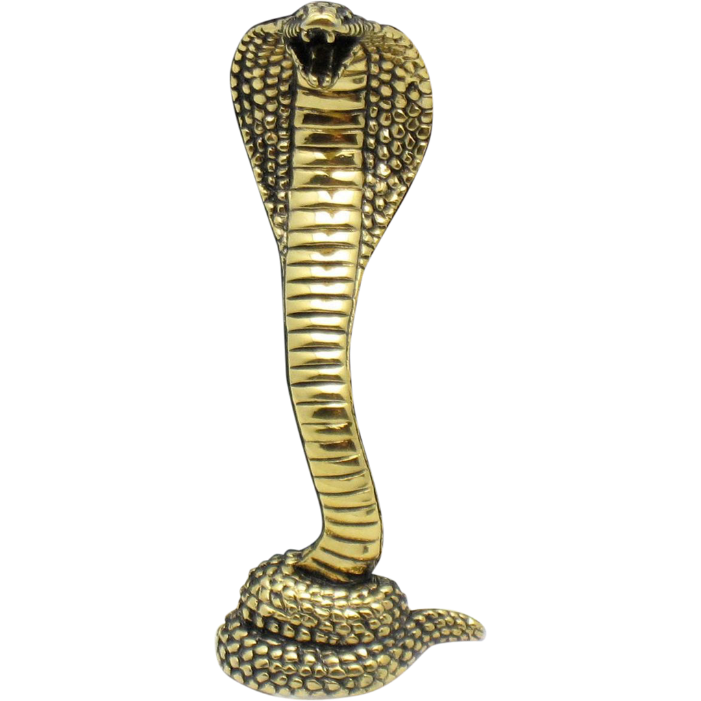 Cobra Serpiente PNG hd