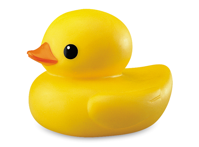 Duck Transparent PNG