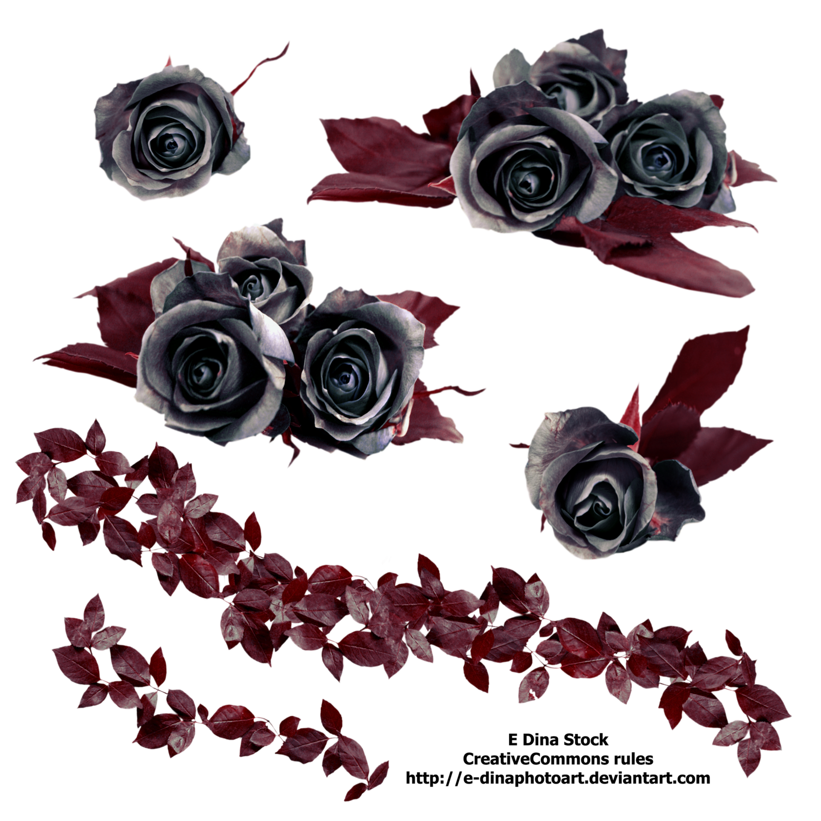 Gothic Rose PNG Free Download