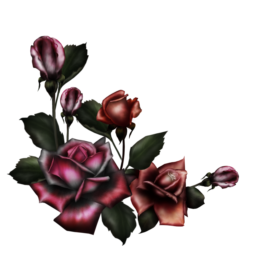 Gothic Rose PNG Pic