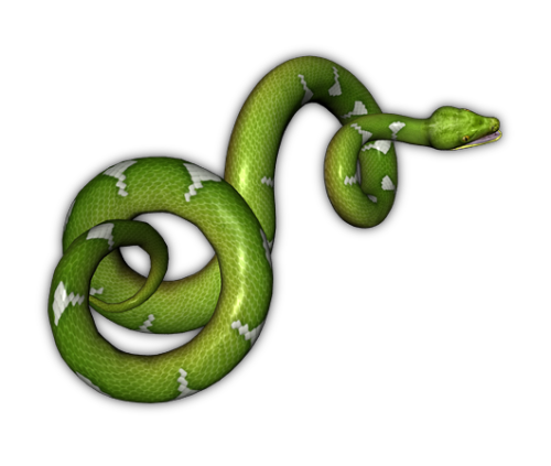 Зеленая змея прозрачный фон