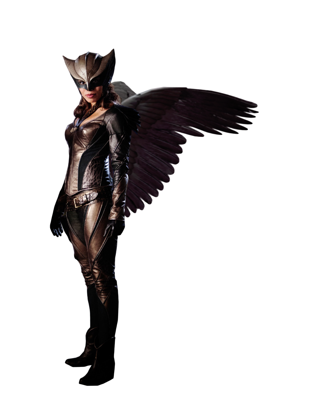 Hawkgirl PNG Transparent Image
