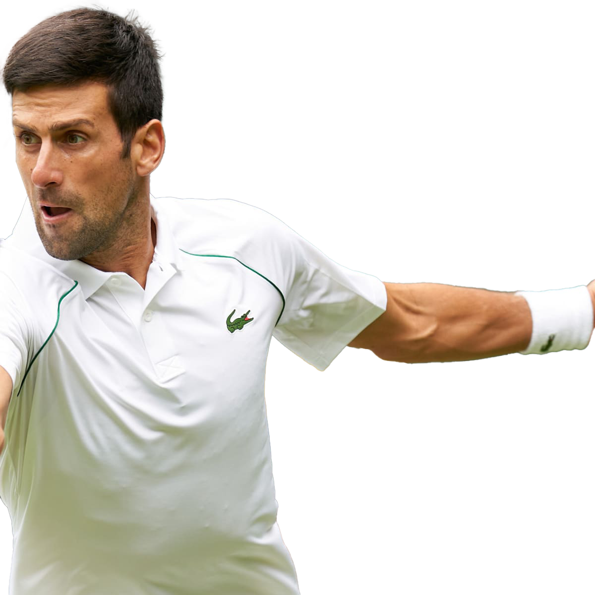 Novak Djokovic Tennis Player Download PNG Image