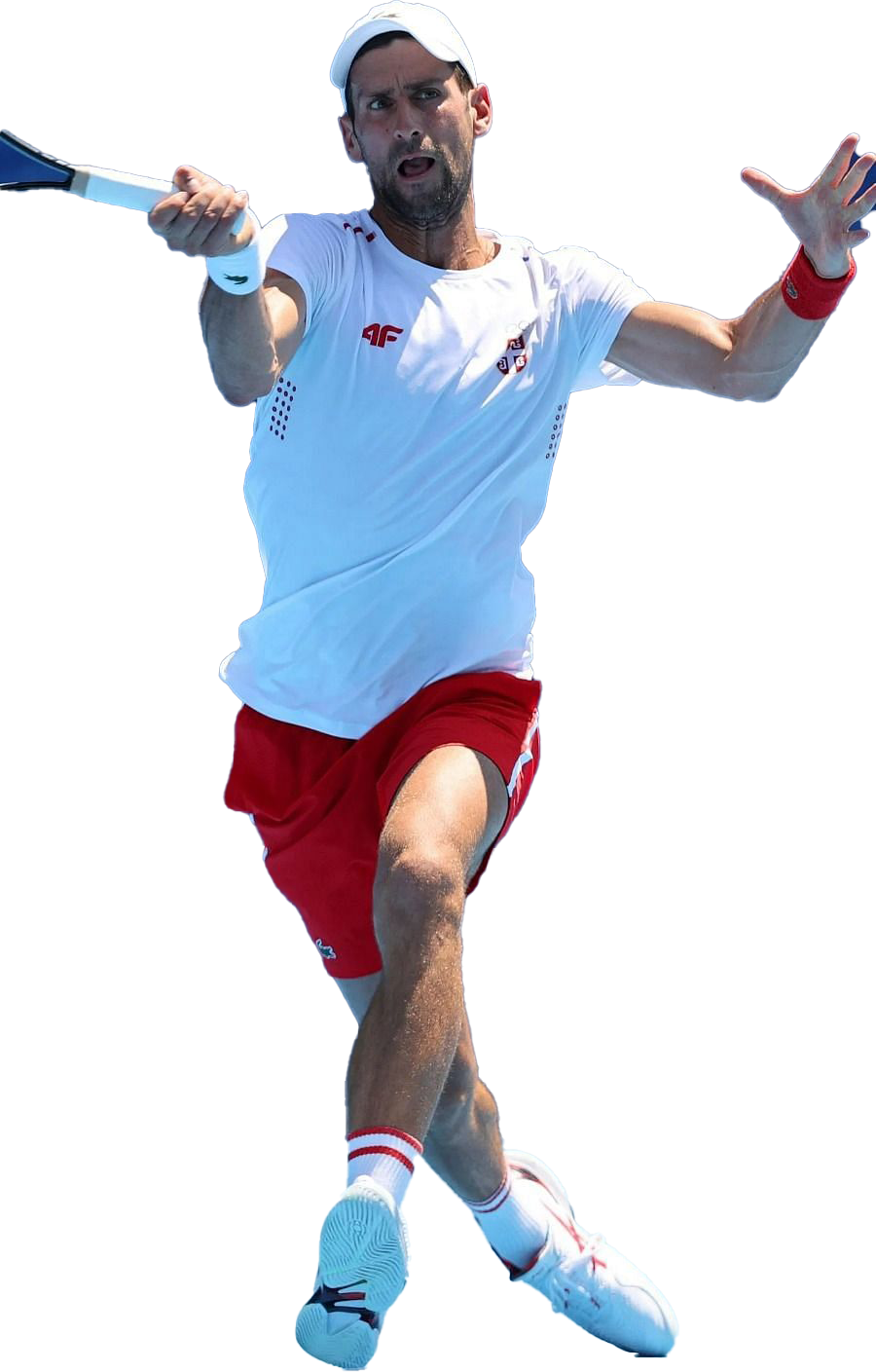 Novak Djokovic Tennisspeler PNG HD