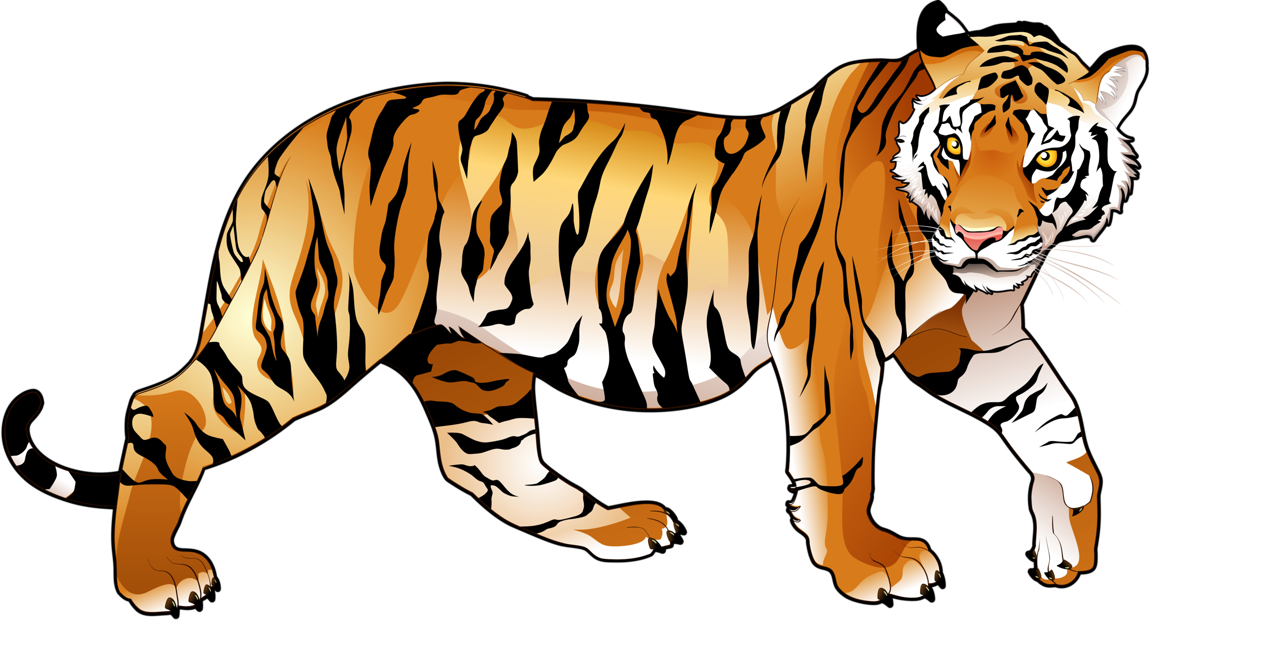 Picsart Tiger PNG