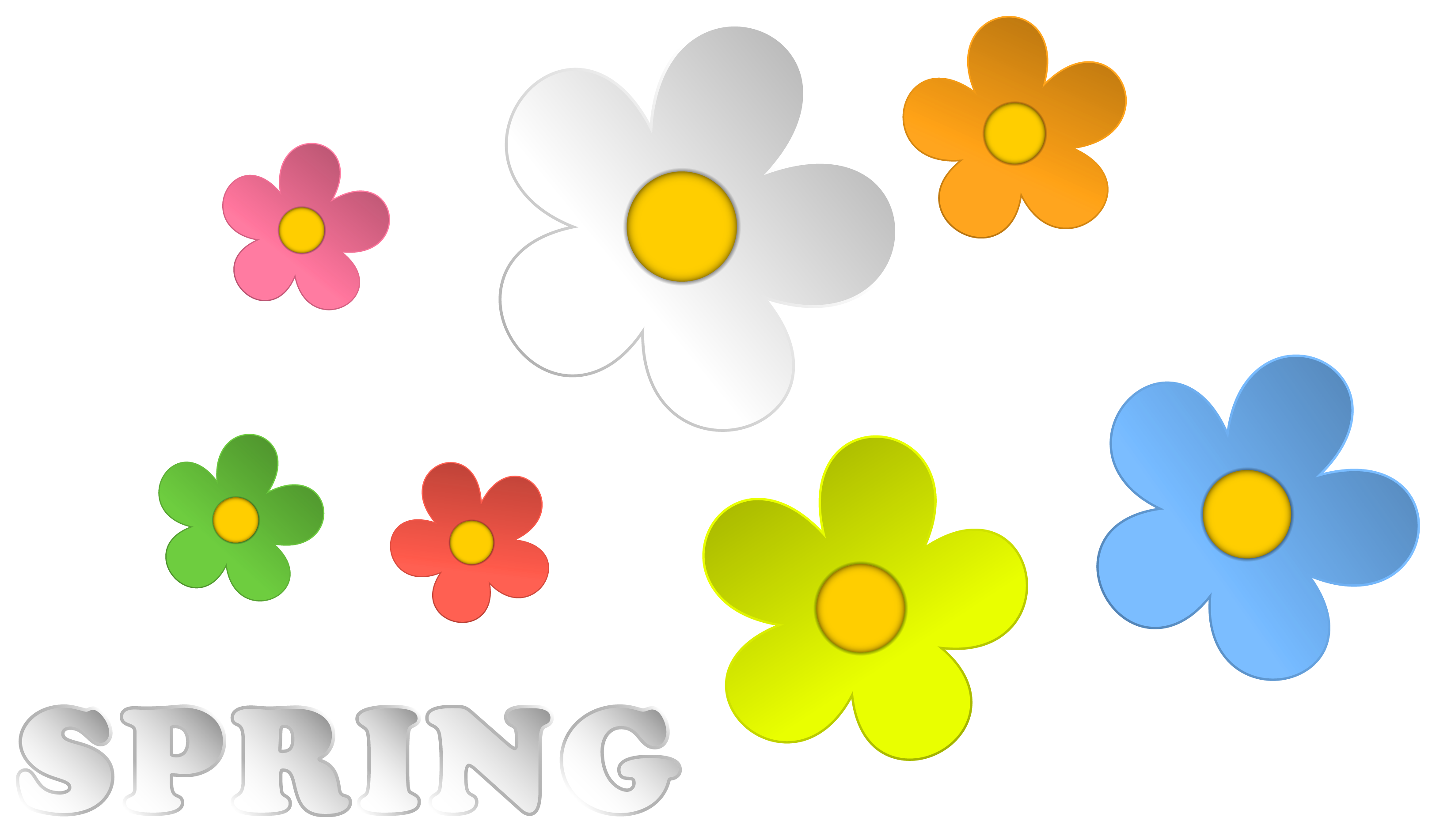 Spring Flowers Background Isolated PNG
