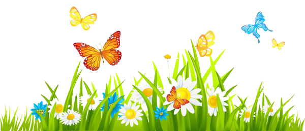 Spring Flowers PNG Isolated Photo