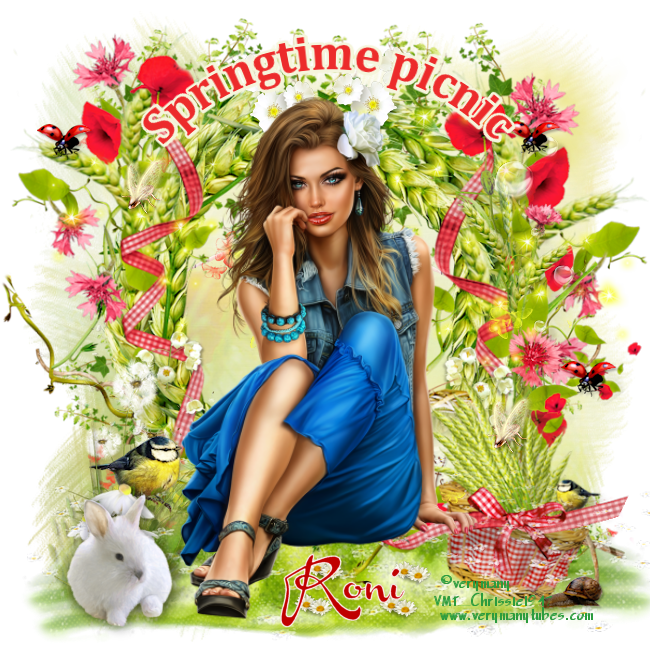 Spring Time PNG Isolated Transparent HD Photo