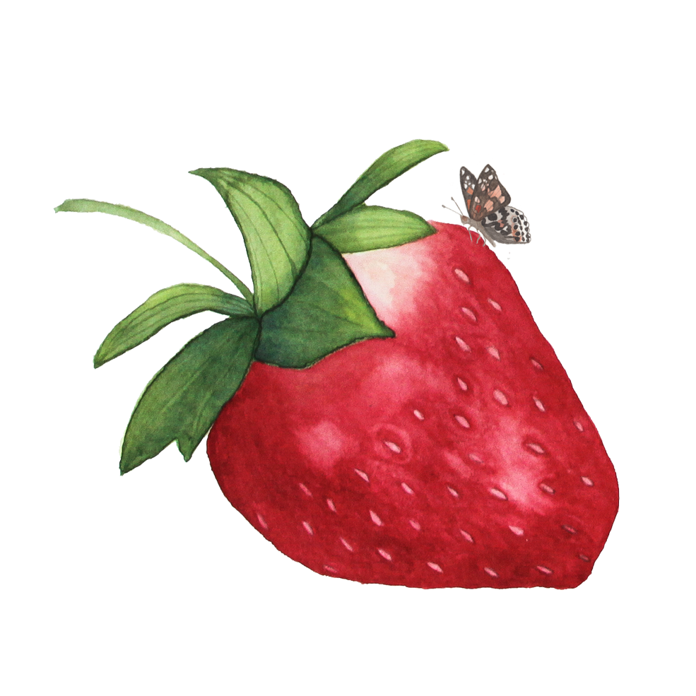 Watercolor Strawberry PNG HD