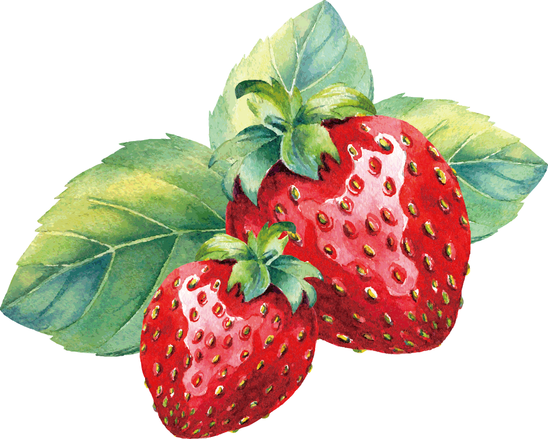 Watercolor strawberry PNG Image