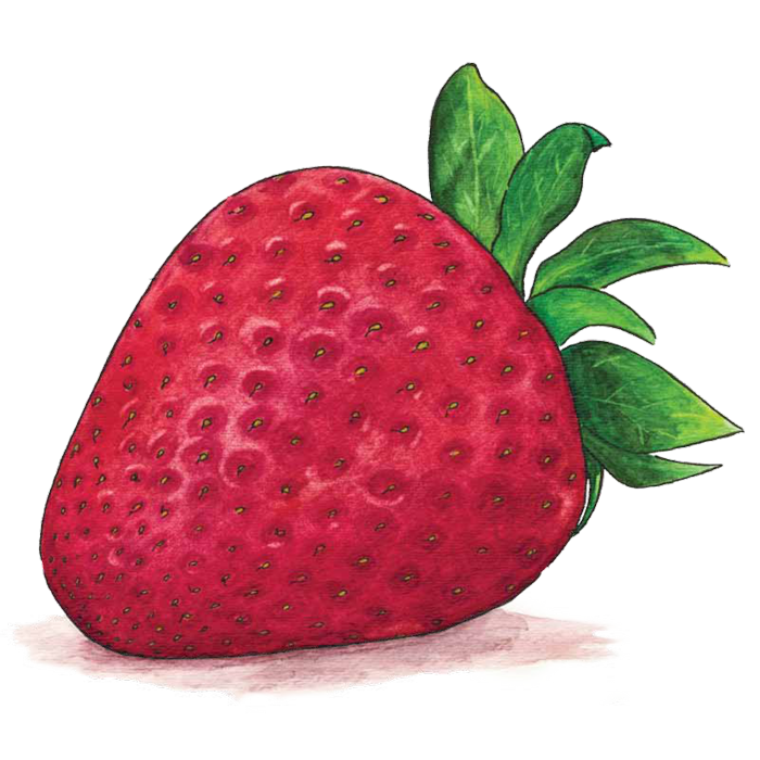 Watercolor Strawberry PNG Photo