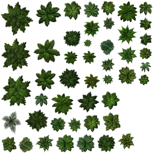 2D Tree PNG Isolated Image