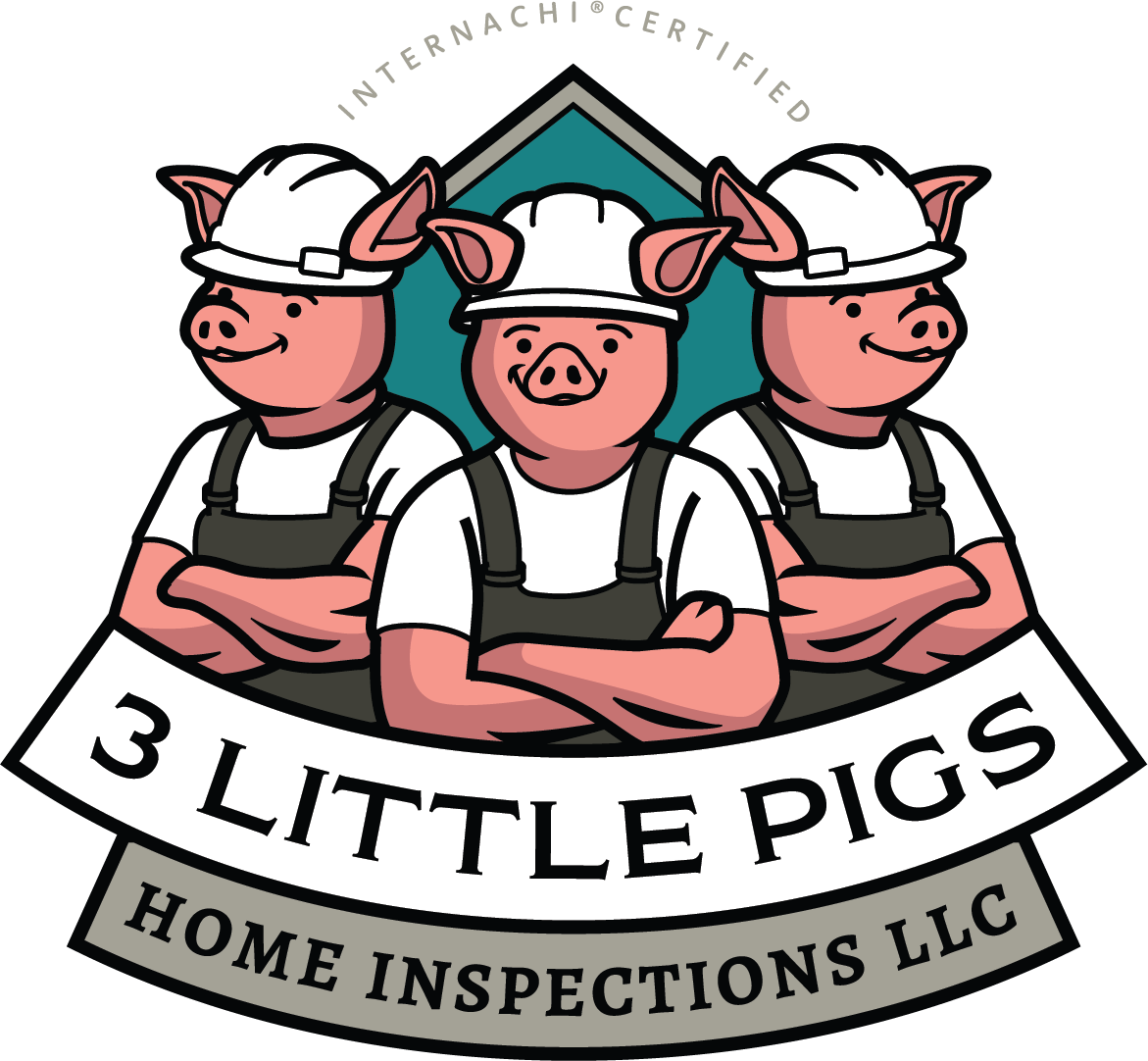 3 Little Pigs PNG Picture