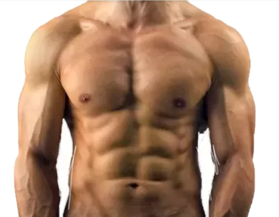 6 Pack ABS PNG HD