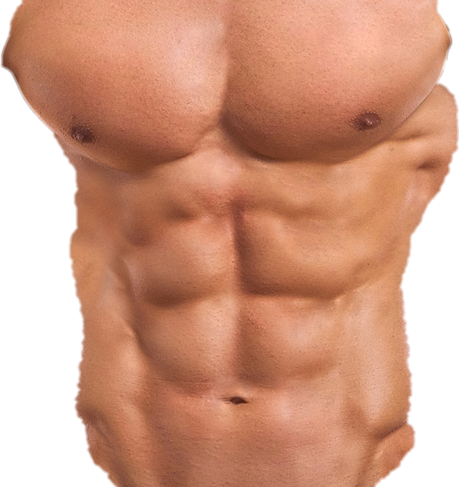 6 Pack Abs PNG
