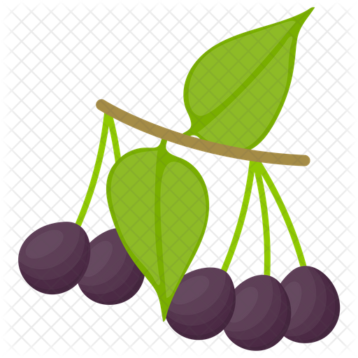 Acai berry PNG Pic