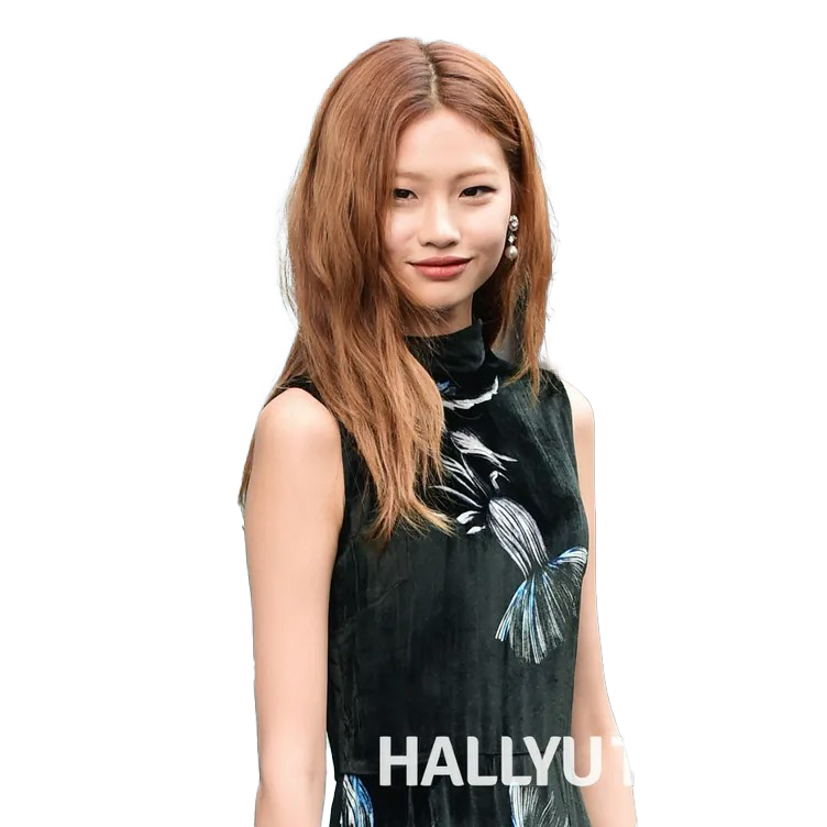 Attrice jung ho-yeon PNG Clipart