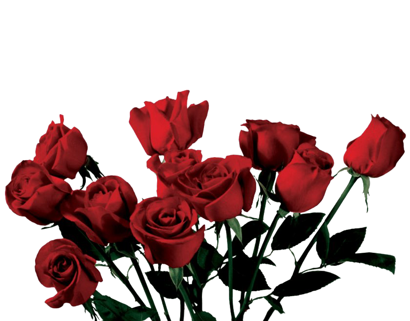 Aesthetic Flowers PNG HD